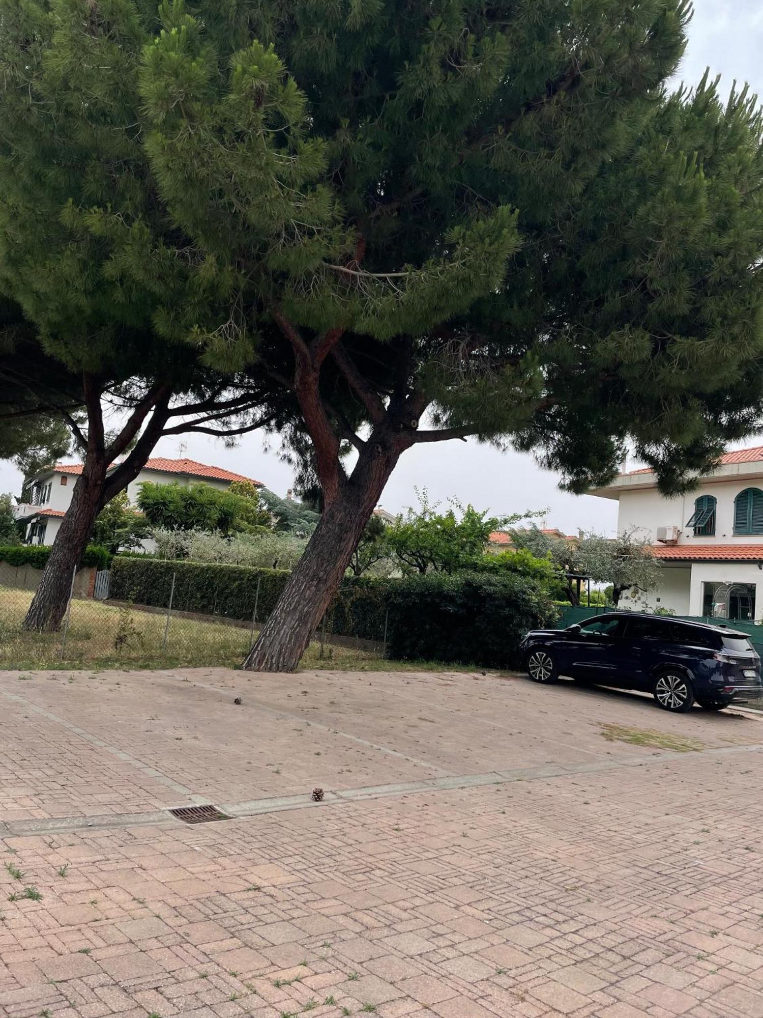 Casa Vacanze Le Due Torri Vada Zewnętrze zdjęcie